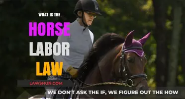 Understanding Horse Labor Law: Rights, Regulations, and Responsibilities Explained