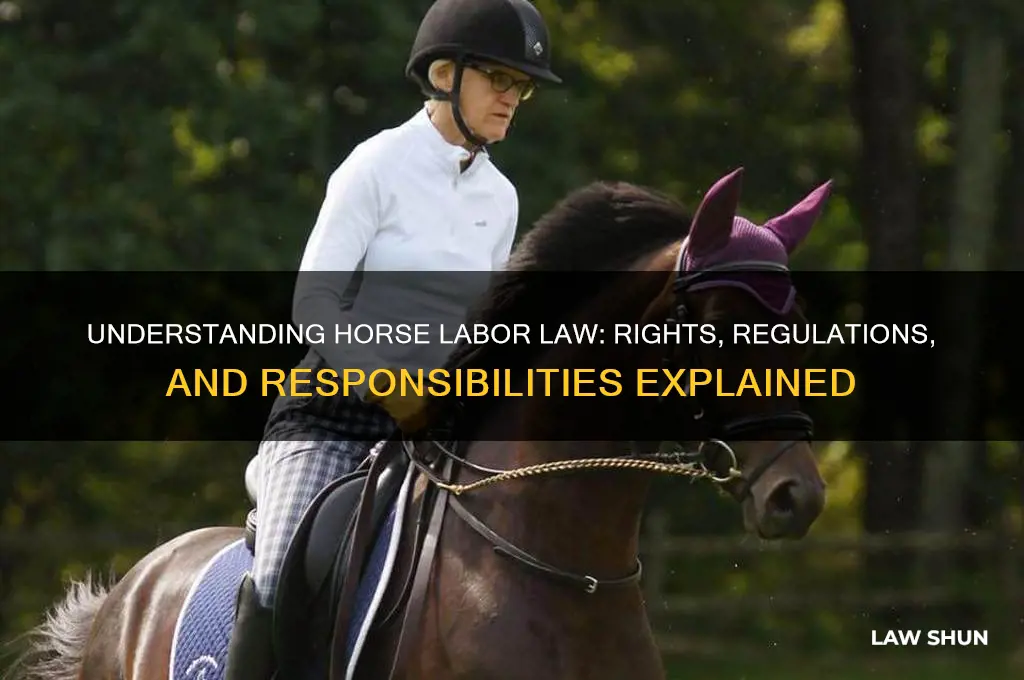 what is the horse labor law