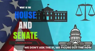 Understanding the U.S. Legislature: A Guide to the House and Senate