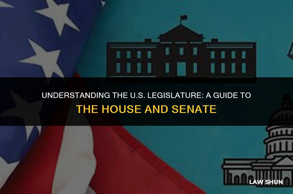 what is the house and senate