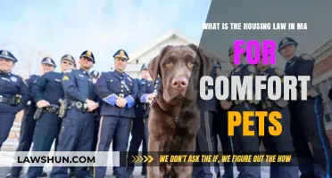 Massachusetts Housing Laws: Understanding Comfort Pet Rights and Regulations