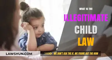 Understanding Illegitimate Child Law: Rights, Protections, and Legal Implications