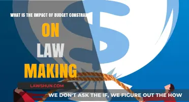 Budget Constraints: Shaping Lawmaking Priorities and Policy Outcomes