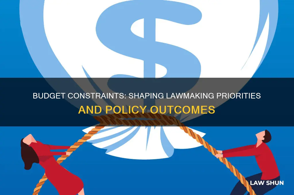 what is the impact of budget constraint on law making