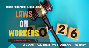 Flexible Labour Laws: Empowering or Exploiting Workers' Rights?