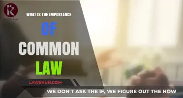Understanding Common Law: Its Vital Role and Relevance