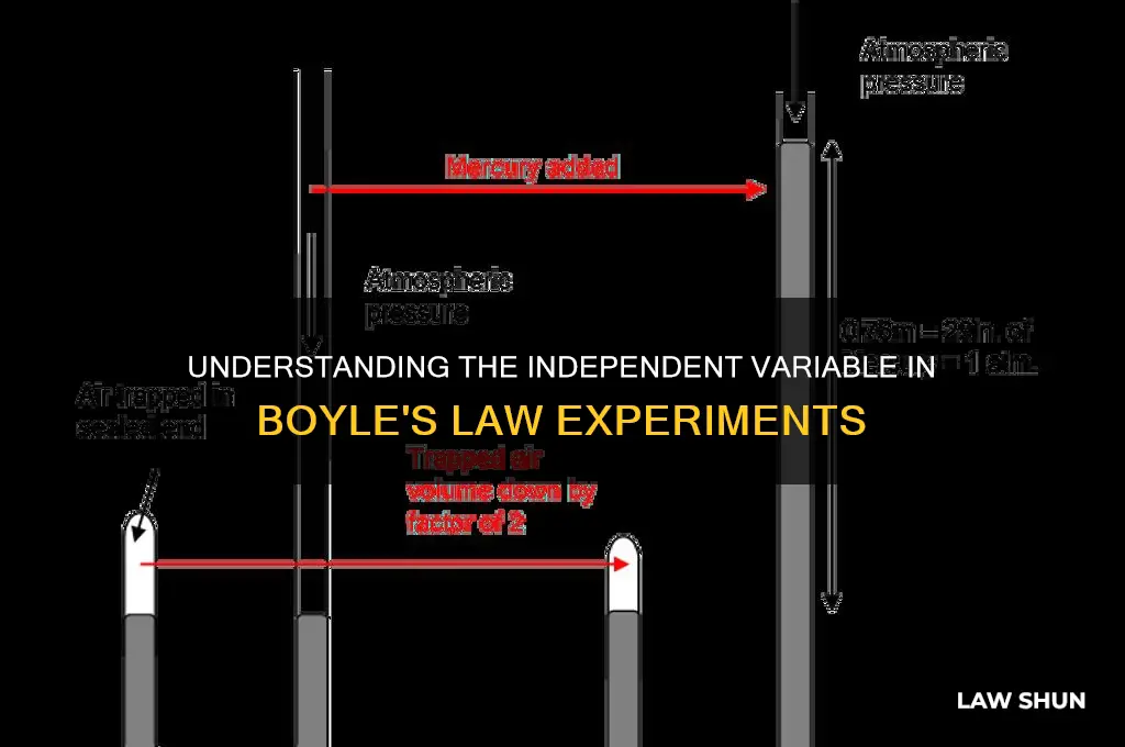 what is the independent variable in boyle