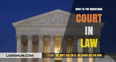 Understanding the Role and Function of the Industrial Court in Law