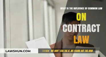 Common Law's Sway Over Contract Law