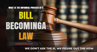 From Idea to Law: Understanding the Informal Journey of a Bill