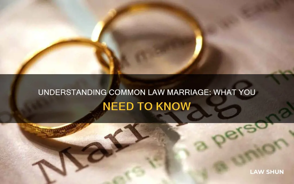 what is the information on common law marriage