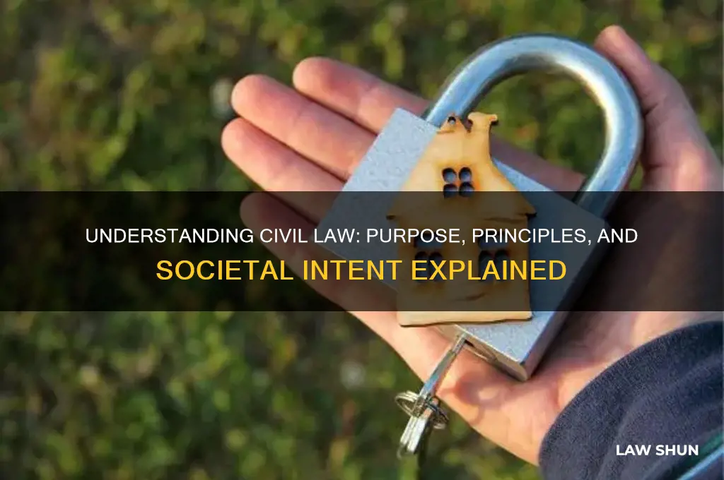what is the intent of civil law