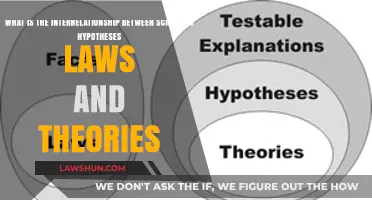 Hypotheses, Laws, and Theories: Understanding Science's Interconnected Framework