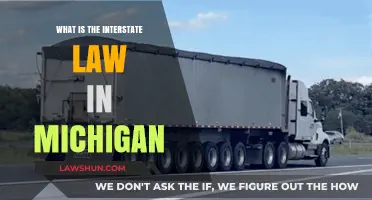 Understanding Michigan's Interstate Law: Key Regulations and Compliance Guide
