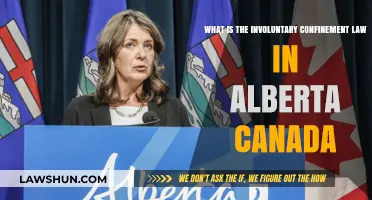 Involuntary Confinement: Alberta's Mental Health Act Explained