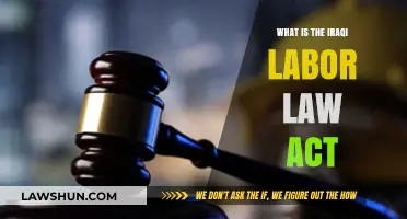 Understanding the Iraqi Labor Law Act: Rights, Regulations, and Workplace Protections