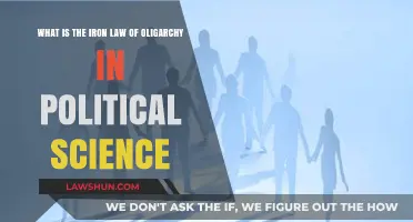 Understanding the Iron Law of Oligarchy: Power Dynamics in Political Science