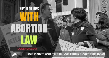 Abortion Law: Ethical, Legal, and Social Issues