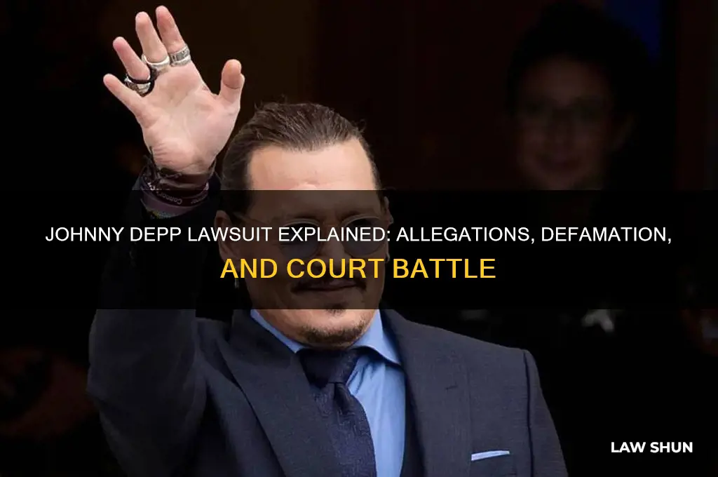 what is the jonny depp law suit about