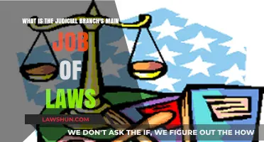 Understanding the Judicial Branch's Primary Role in Interpreting and Applying Laws