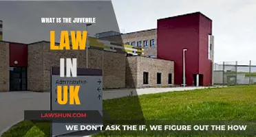 Juvenile Law in the UK: Understanding the System