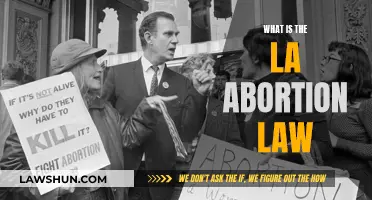 Understanding Abortion Law: A Complex Web of Rights and Restrictions