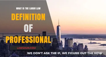 Understanding the Legal Definition of a Professional Under Labor Law