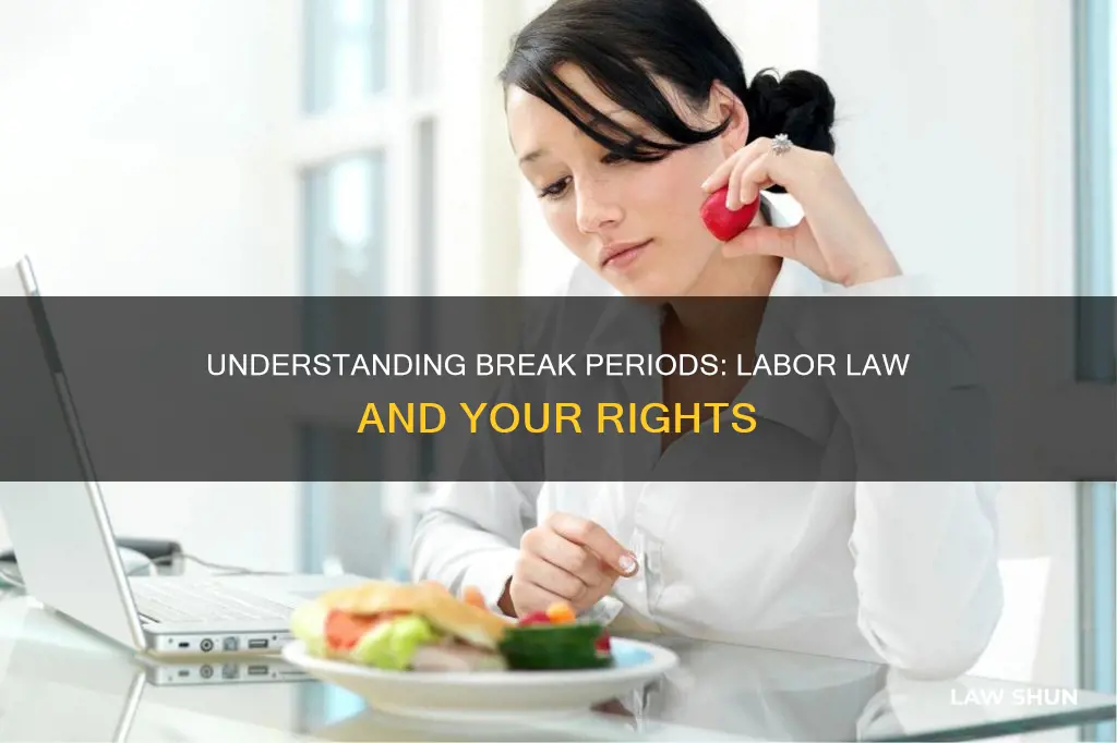 what is the labor law for break periods