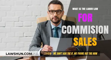 Understanding Labor Laws for Commission-Based Sales: Rights and Regulations