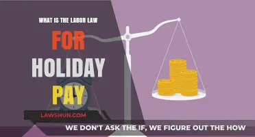 Understanding Holiday Pay: Labor Law Essentials for Employees and Employers