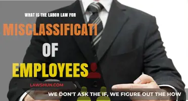 Misclassification of Employees: Understanding Labor Law Consequences and Compliance