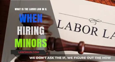 Illinois Labor Law: Hiring Minors – Key Rules and Regulations