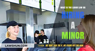 Hiring Minors: Understanding Labor Laws and Compliance Requirements
