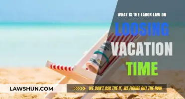 Understanding Labor Laws: Vacation Time Loss and Employee Rights Explained