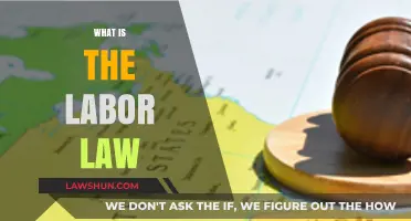 Understanding Labor Law: Essential Rights and Regulations for Workers