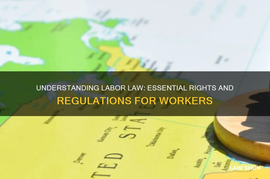 what is the labor law