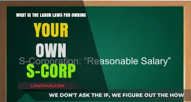 Understanding S-Corp Labor Laws: Essential Rules for Business Owners