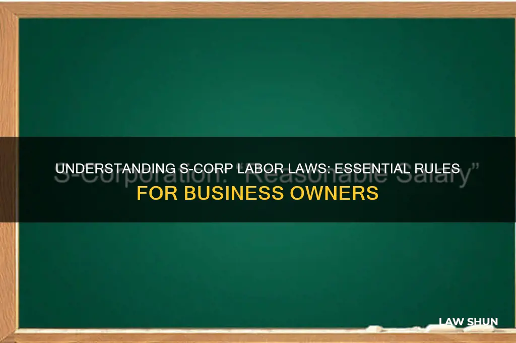 what is the labor laws for owning your own s-corp