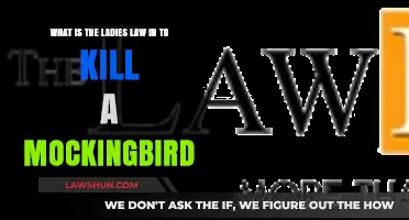 Understanding the Ladies' Law in To Kill a Mockingbird