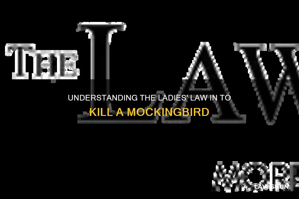 what is the ladies law in to kill a mockingbird