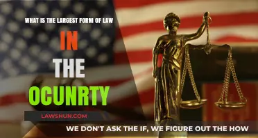 Understanding the Largest Legal Framework in the United States