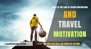 Understanding Law 01: Theory, Motivation, and Travel Incentives Explained