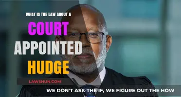Understanding Court-Appointed Judges: Legal Roles and Responsibilities Explained