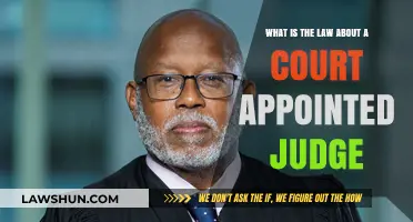 Understanding Court-Appointed Judges: Legal Roles and Responsibilities Explained