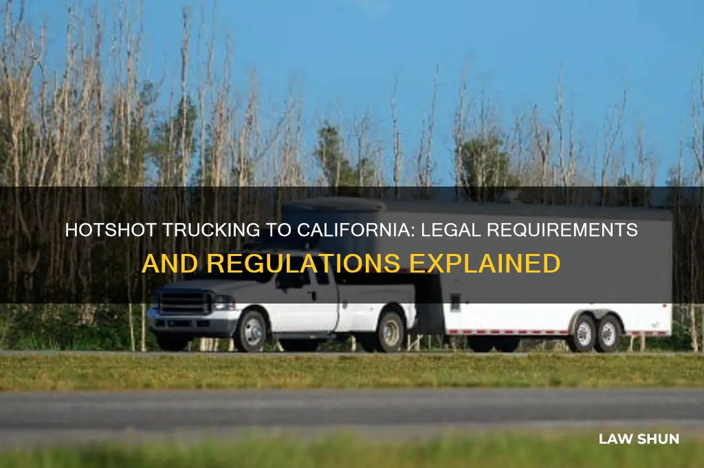 what is the law about a hotshot going into cal