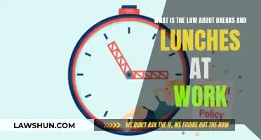 Understanding Work Breaks and Lunch Laws