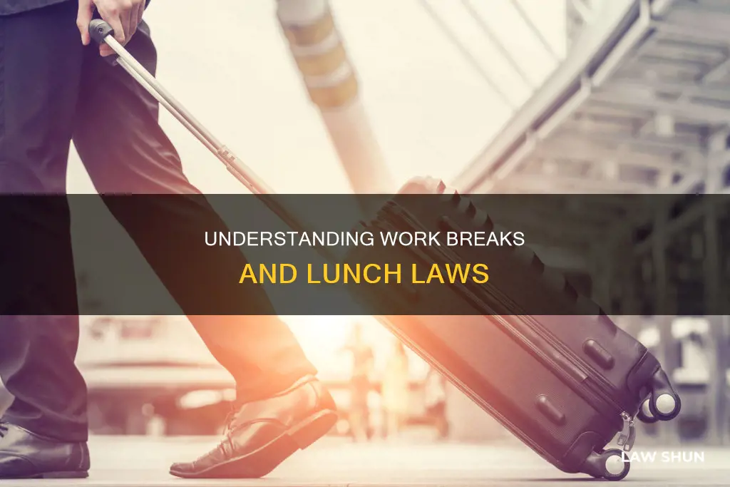 what is the law about breaks and lunches at work