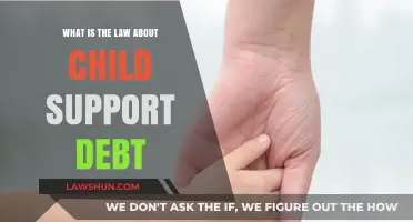 Understanding Child Support Debt: Legal Obligations and Consequences Explained