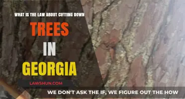 Georgia's Tree Removal Laws: Understanding Regulations for Cutting Down Trees