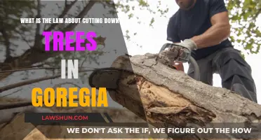 Georgia's Tree Removal Laws: Understanding Regulations for Cutting Down Trees